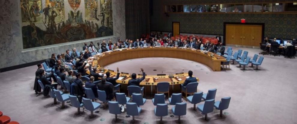 Security Council
